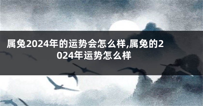 属兔2024年的运势会怎么样,属兔的2024年运势怎么样