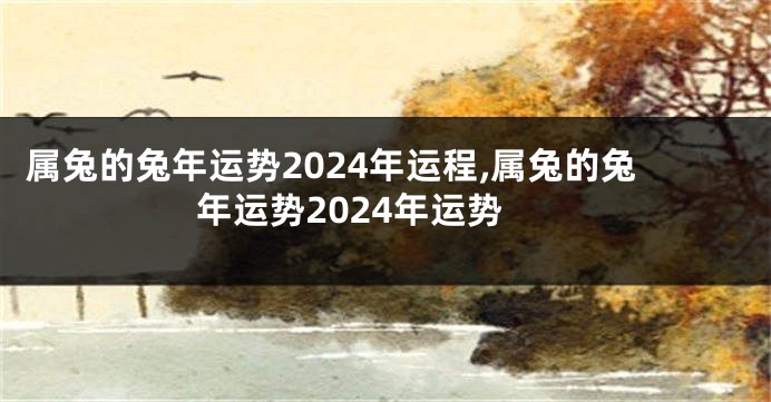 属兔的兔年运势2024年运程,属兔的兔年运势2024年运势