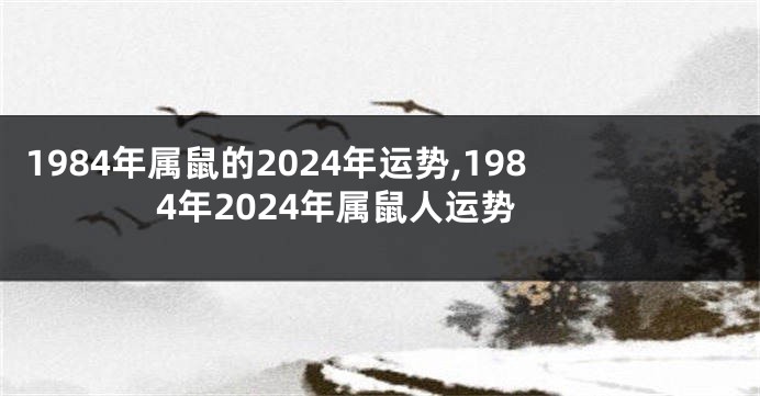 1984年属鼠的2024年运势,1984年2024年属鼠人运势