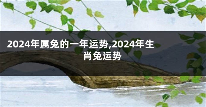 2024年属兔的一年运势,2024年生肖兔运势