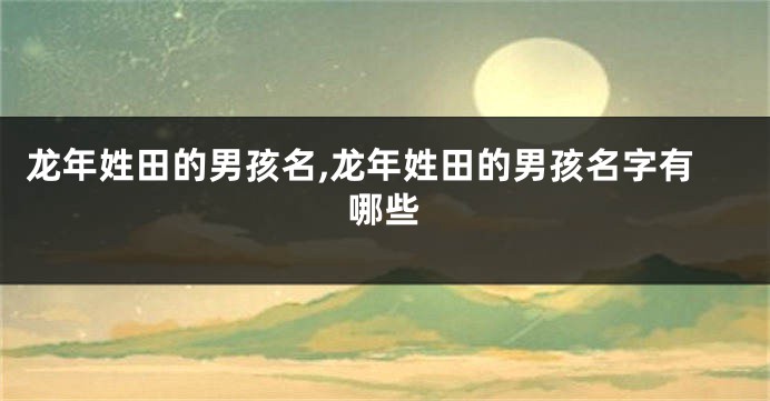 龙年姓田的男孩名,龙年姓田的男孩名字有哪些