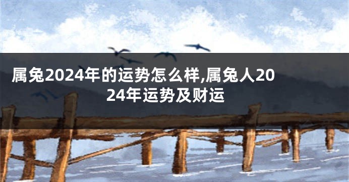 属兔2024年的运势怎么样,属兔人2024年运势及财运
