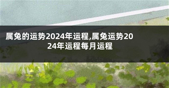 属兔的运势2024年运程,属兔运势2024年运程每月运程