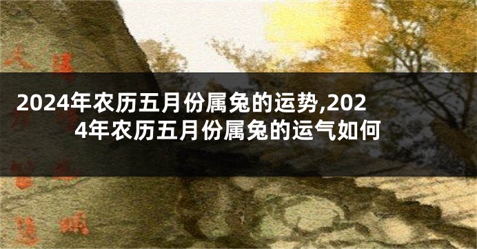 2024年农历五月份属兔的运势,2024年农历五月份属兔的运气如何