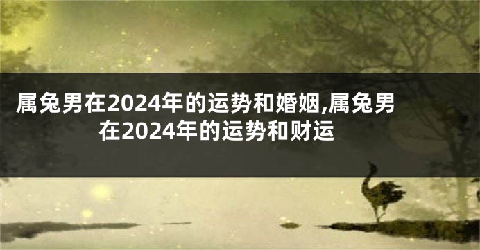 属兔男在2024年的运势和婚姻,属兔男在2024年的运势和财运