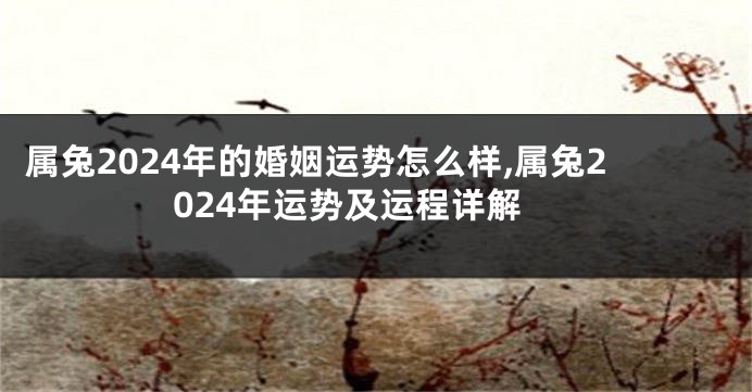 属兔2024年的婚姻运势怎么样,属兔2024年运势及运程详解