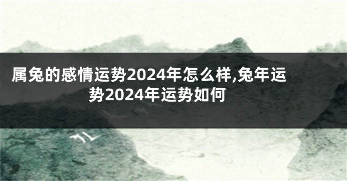 属兔的感情运势2024年怎么样,兔年运势2024年运势如何