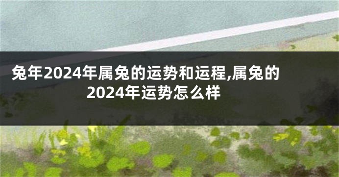 兔年2024年属兔的运势和运程,属兔的2024年运势怎么样
