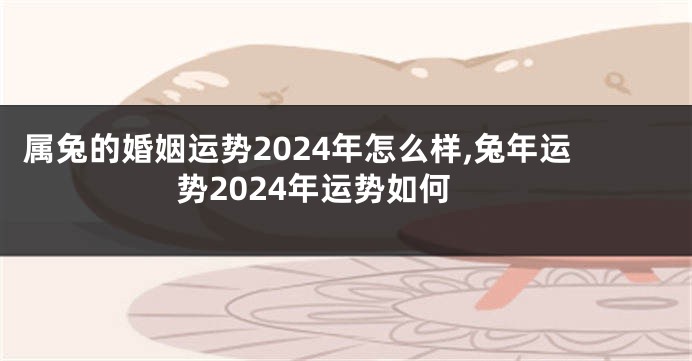 属兔的婚姻运势2024年怎么样,兔年运势2024年运势如何