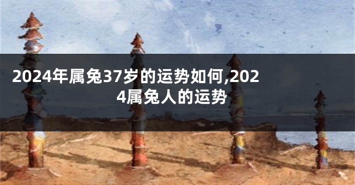 2024年属兔37岁的运势如何,2024属兔人的运势