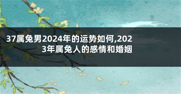 37属兔男2024年的运势如何,2023年属兔人的感情和婚姻