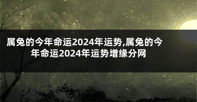 属兔的今年命运2024年运势,属兔的今年命运2024年运势增缘分网