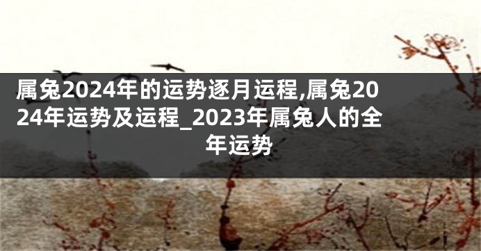 属兔2024年的运势逐月运程,属兔2024年运势及运程_2023年属兔人的全年运势