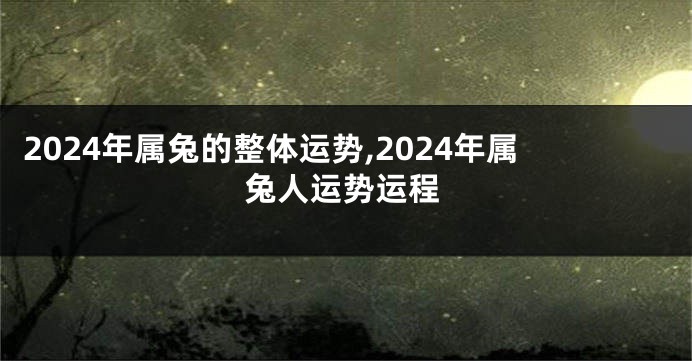 2024年属兔的整体运势,2024年属兔人运势运程