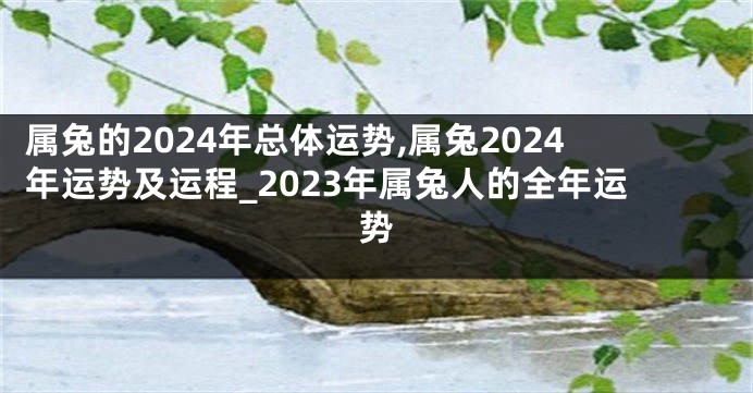 属兔的2024年总体运势,属兔2024年运势及运程_2023年属兔人的全年运势