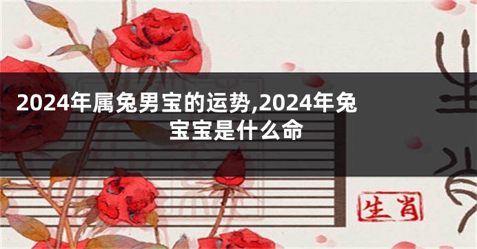 2024年属兔男宝的运势,2024年兔宝宝是什么命