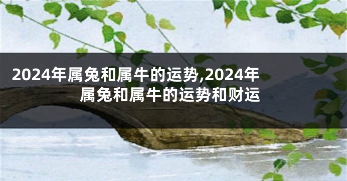 2024年属兔和属牛的运势,2024年属兔和属牛的运势和财运