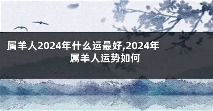 属羊人2024年什么运最好,2024年属羊人运势如何
