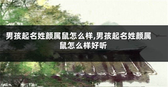 男孩起名姓颜属鼠怎么样,男孩起名姓颜属鼠怎么样好听