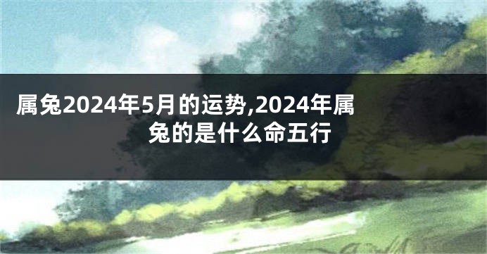属兔2024年5月的运势,2024年属兔的是什么命五行