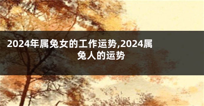 2024年属兔女的工作运势,2024属兔人的运势