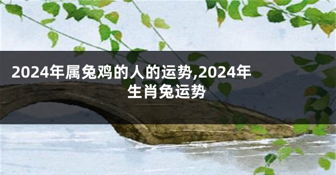 2024年属兔鸡的人的运势,2024年生肖兔运势