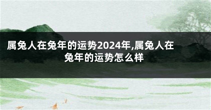 属兔人在兔年的运势2024年,属兔人在兔年的运势怎么样