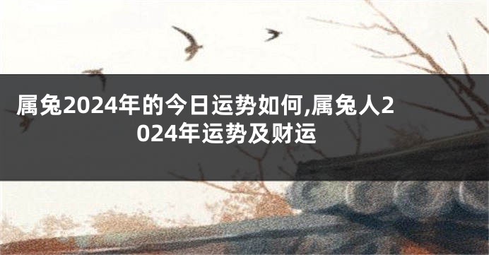 属兔2024年的今日运势如何,属兔人2024年运势及财运