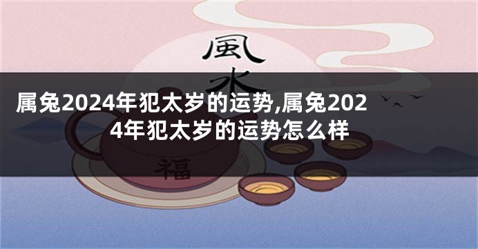 属兔2024年犯太岁的运势,属兔2024年犯太岁的运势怎么样