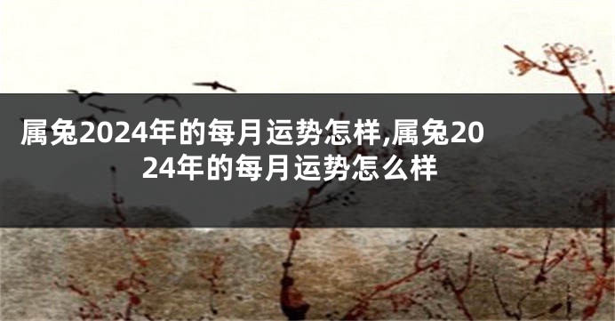 属兔2024年的每月运势怎样,属兔2024年的每月运势怎么样