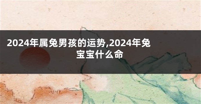2024年属兔男孩的运势,2024年兔宝宝什么命