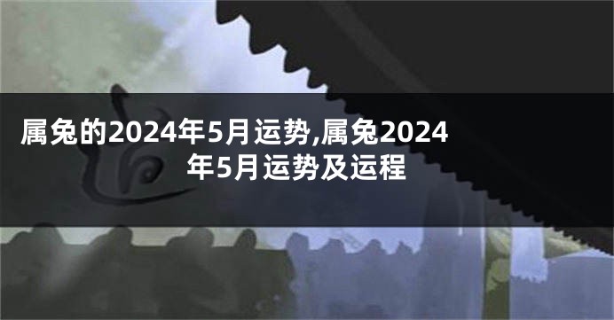 属兔的2024年5月运势,属兔2024年5月运势及运程
