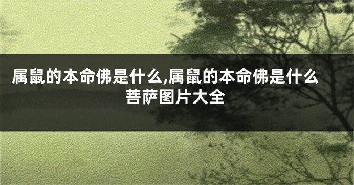 属鼠的本命佛是什么,属鼠的本命佛是什么菩萨图片大全