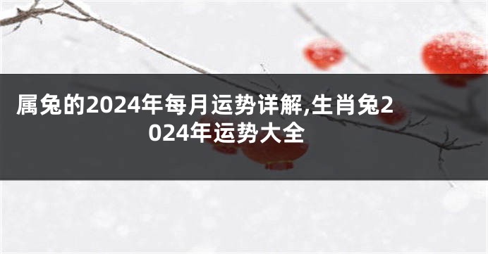 属兔的2024年每月运势详解,生肖兔2024年运势大全