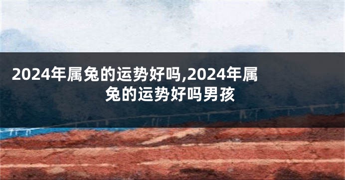 2024年属兔的运势好吗,2024年属兔的运势好吗男孩