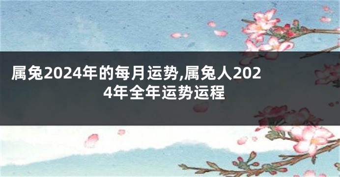 属兔2024年的每月运势,属兔人2024年全年运势运程