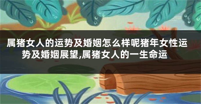 属猪女人的运势及婚姻怎么样呢猪年女性运势及婚姻展望,属猪女人的一生命运