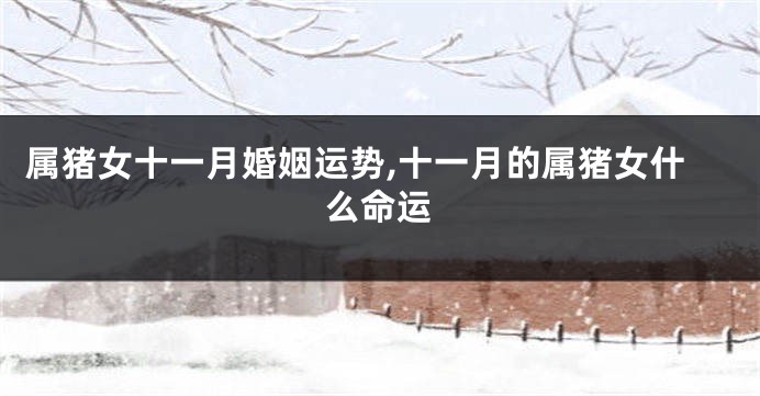 属猪女十一月婚姻运势,十一月的属猪女什么命运