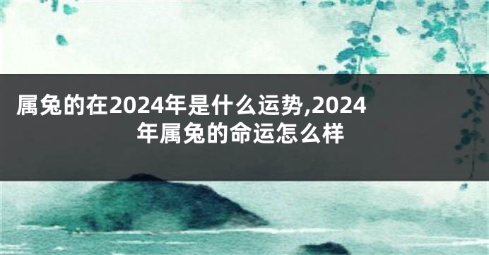 属兔的在2024年是什么运势,2024年属兔的命运怎么样