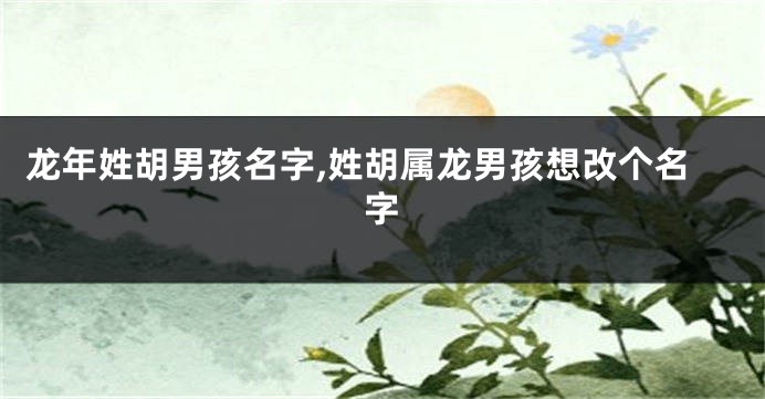 龙年姓胡男孩名字,姓胡属龙男孩想改个名字