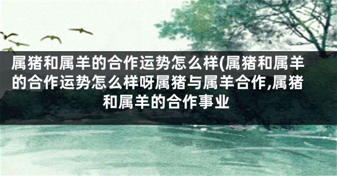 属猪和属羊的合作运势怎么样(属猪和属羊的合作运势怎么样呀属猪与属羊合作,属猪和属羊的合作事业