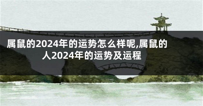 属鼠的2024年的运势怎么样呢,属鼠的人2024年的运势及运程