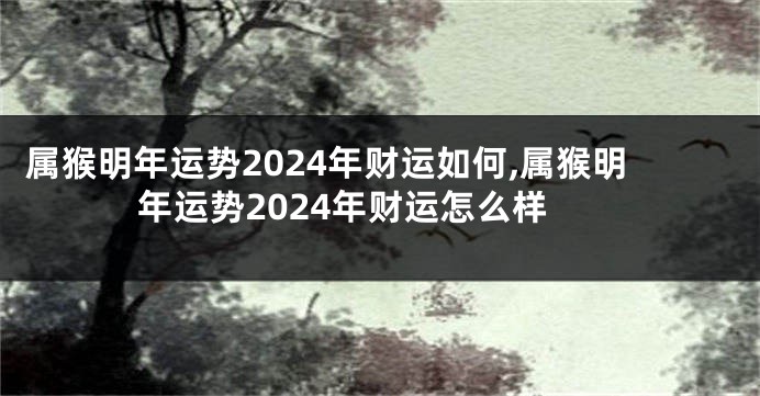 属猴明年运势2024年财运如何,属猴明年运势2024年财运怎么样