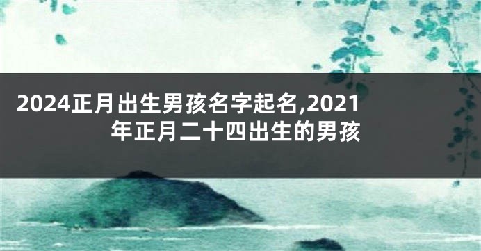 2024正月出生男孩名字起名,2021年正月二十四出生的男孩