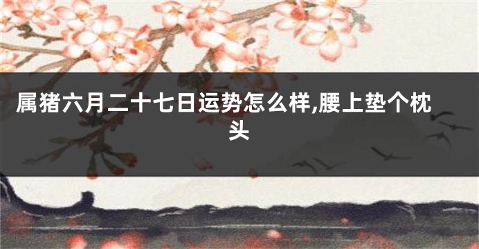 属猪六月二十七日运势怎么样,腰上垫个枕头