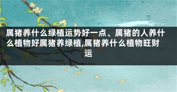 属猪养什么绿植运势好一点、属猪的人养什么植物好属猪养绿植,属猪养什么植物旺财运