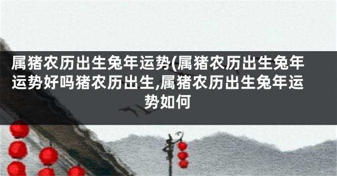 属猪农历出生兔年运势(属猪农历出生兔年运势好吗猪农历出生,属猪农历出生兔年运势如何