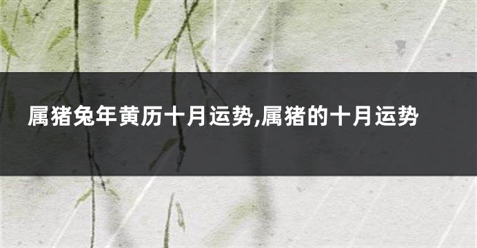 属猪兔年黄历十月运势,属猪的十月运势