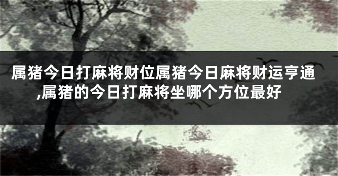 属猪今日打麻将财位属猪今日麻将财运亨通,属猪的今日打麻将坐哪个方位最好