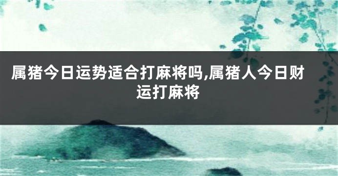属猪今日运势适合打麻将吗,属猪人今日财运打麻将